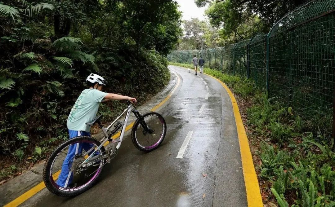 水岸步道:像鱼一样游走在自己的城市 水岸步道:像鱼一样游走在自己的城市