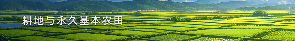 新华社|怎样理解改革完善耕地占补平衡制度 新华社|怎样理解改革完善耕地占补平衡制度