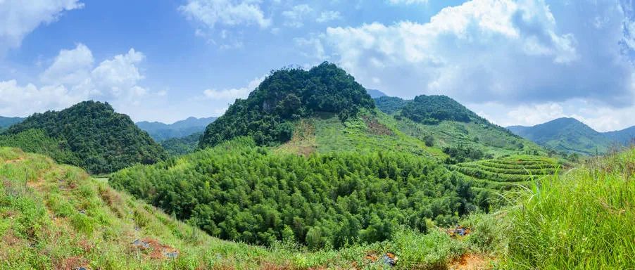 重磅启航!院牵头召开中国测绘学会团体标准《实景三维地理实体协同化生产技术规程》启动会|广规要闻 重磅启航!院牵头召开中国测绘学会团体标准《实景三维地理实体协同化生产技术规程》启动会|广规要闻