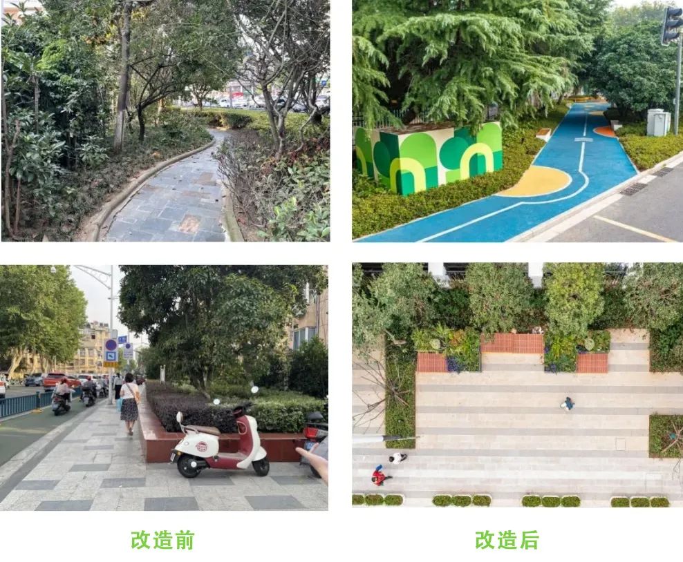 绿色新景扮靓老城 口袋公园再上新