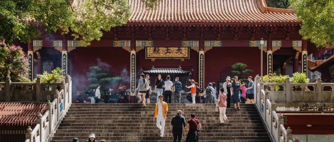 从城市回流乡村,这波年轻人想要什么? 从城市回流乡村,这波年轻人想要什么?