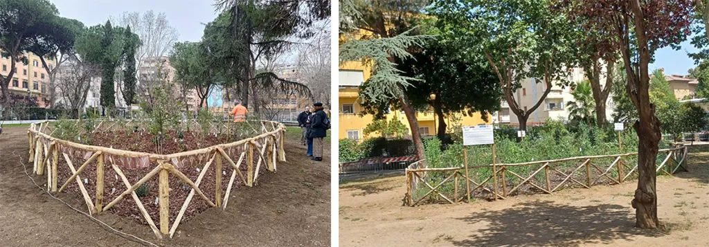国际资讯 | [意]那不勒斯住区更新/罗马市15分钟城市微型生态森林/收缩村镇振兴举措成效/米兰市限行区新禁令(2024.11)