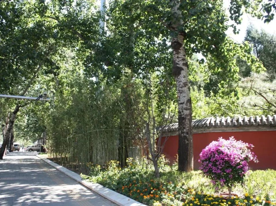 日坛公园围墙“后退”,为城市“让”出新风景 日坛公园围墙“后退”,为城市“让”出新风景