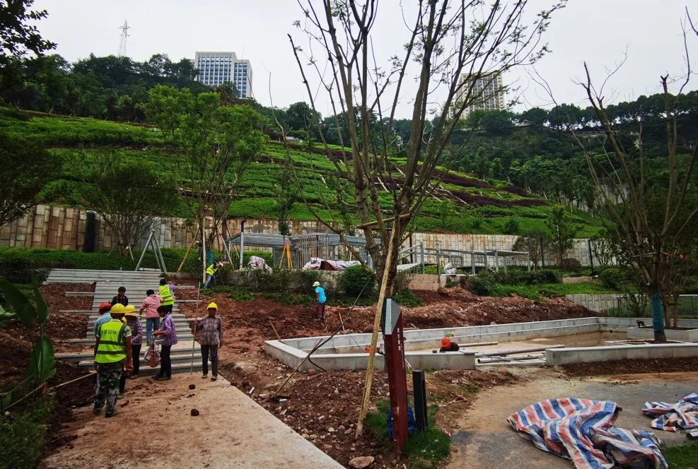 城市儿童友好空间建设可复制经验清单（第一批）（下）