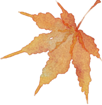 勇担使命敢作为——内蒙古自然资源工作支撑高质量发展纪略