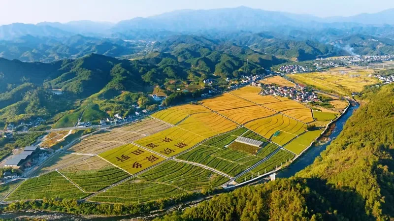 全域土地综合整治的杭州实践 全域土地综合整治的杭州实践