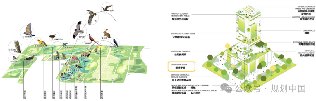 应对气候变化的风景园林研究与实践 应对气候变化的风景园林研究与实践