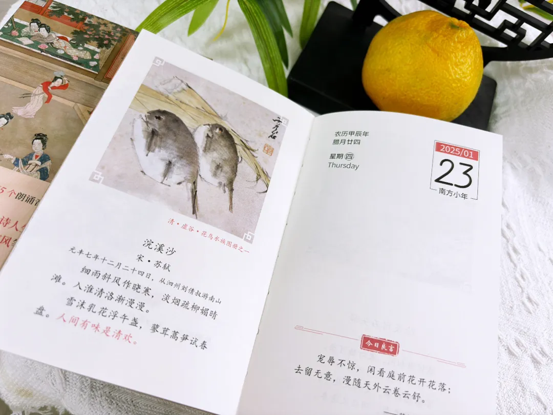 又被惊艳到了了！国风美学拉满，中国人的审美永远值得被信任