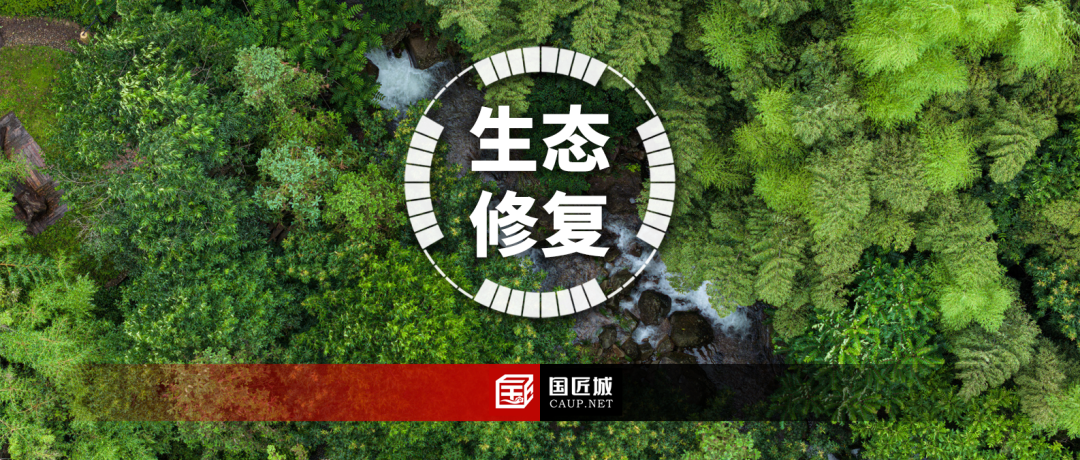 全面了解“生态保护修复”，《国家生态保护修复公报2024》发布