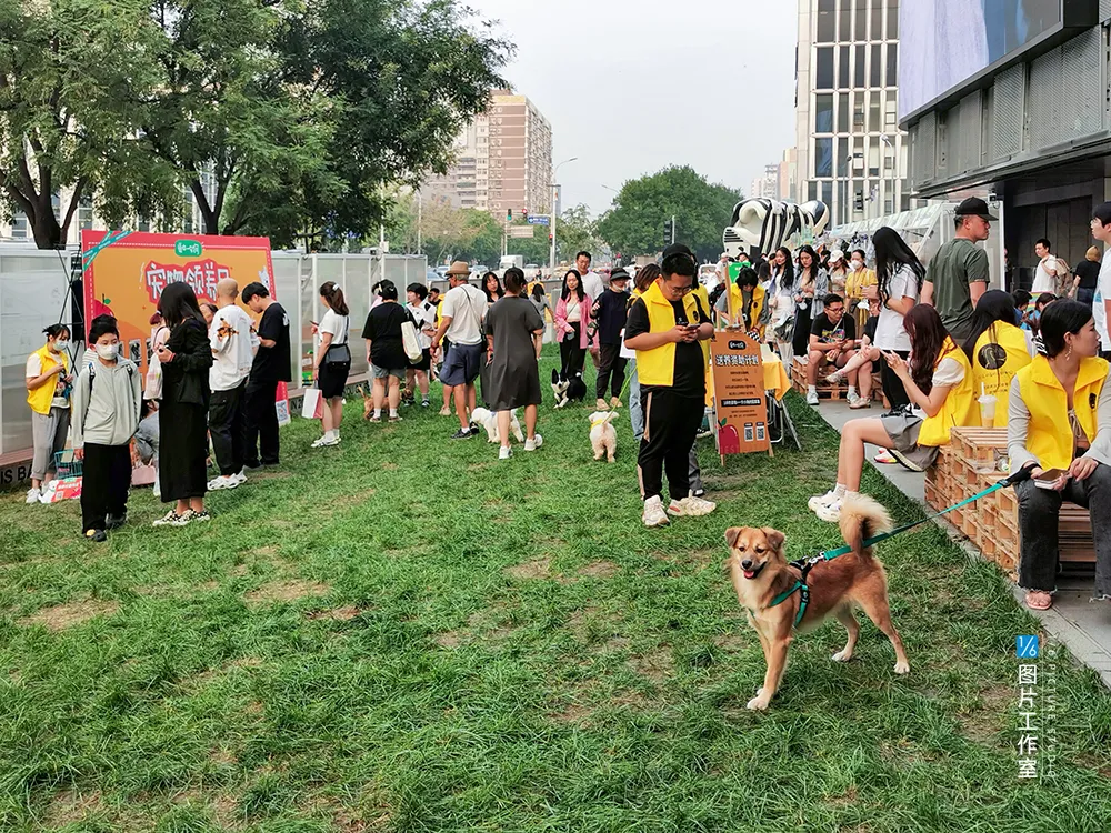 周末趣读 | 新城如何打进年轻人的圈子？
