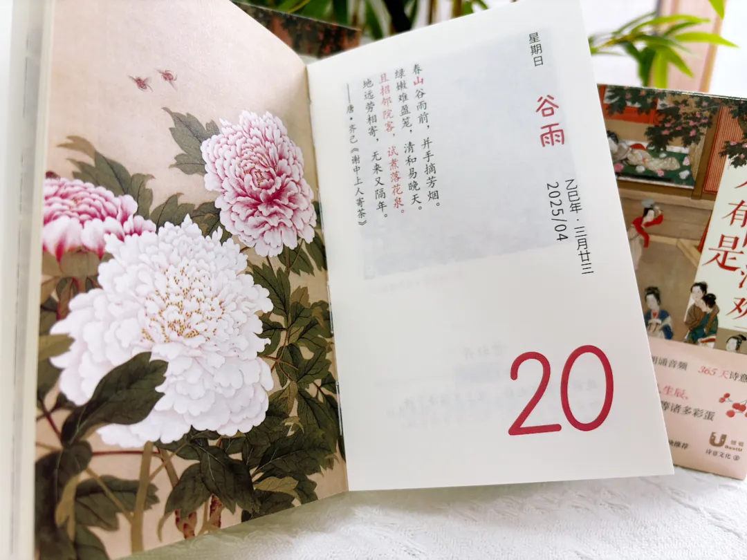 又被惊艳到了了！国风美学拉满，中国人的审美永远值得被信任