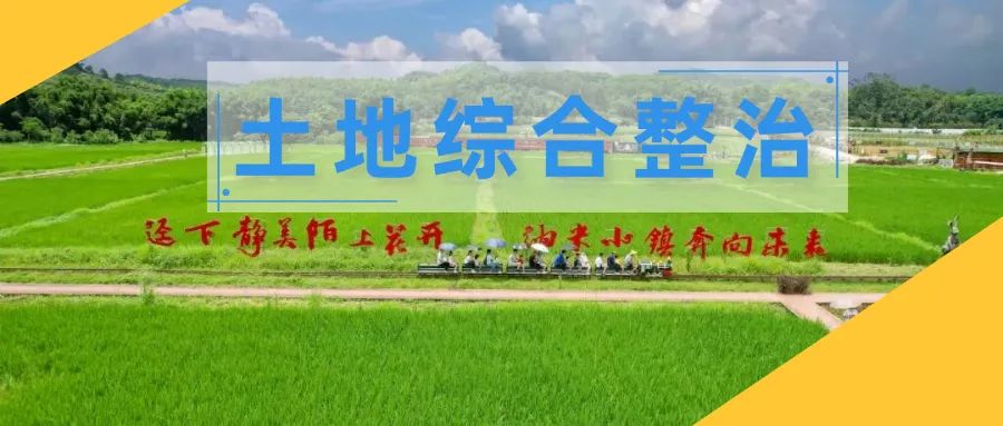 土地综合整治16｜全链条服务保障从化乡村振兴项目用地供给