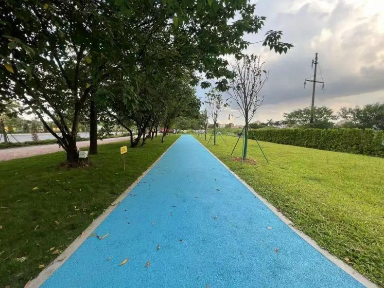 既是“道路”也是“街路”,白云区广花路空间一体化设计的研究与实践|广州好“行” 既是“道路”也是“街路”,白云区广花路空间一体化设计的研究与实践|广州好“行”
