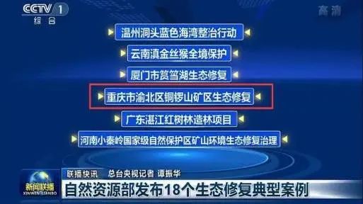 废弃矿坑变身“小九寨”,重庆铜锣山生态修复的经验与启示|城市眼 废弃矿坑变身“小九寨”,重庆铜锣山生态修复的经验与启示|城市眼