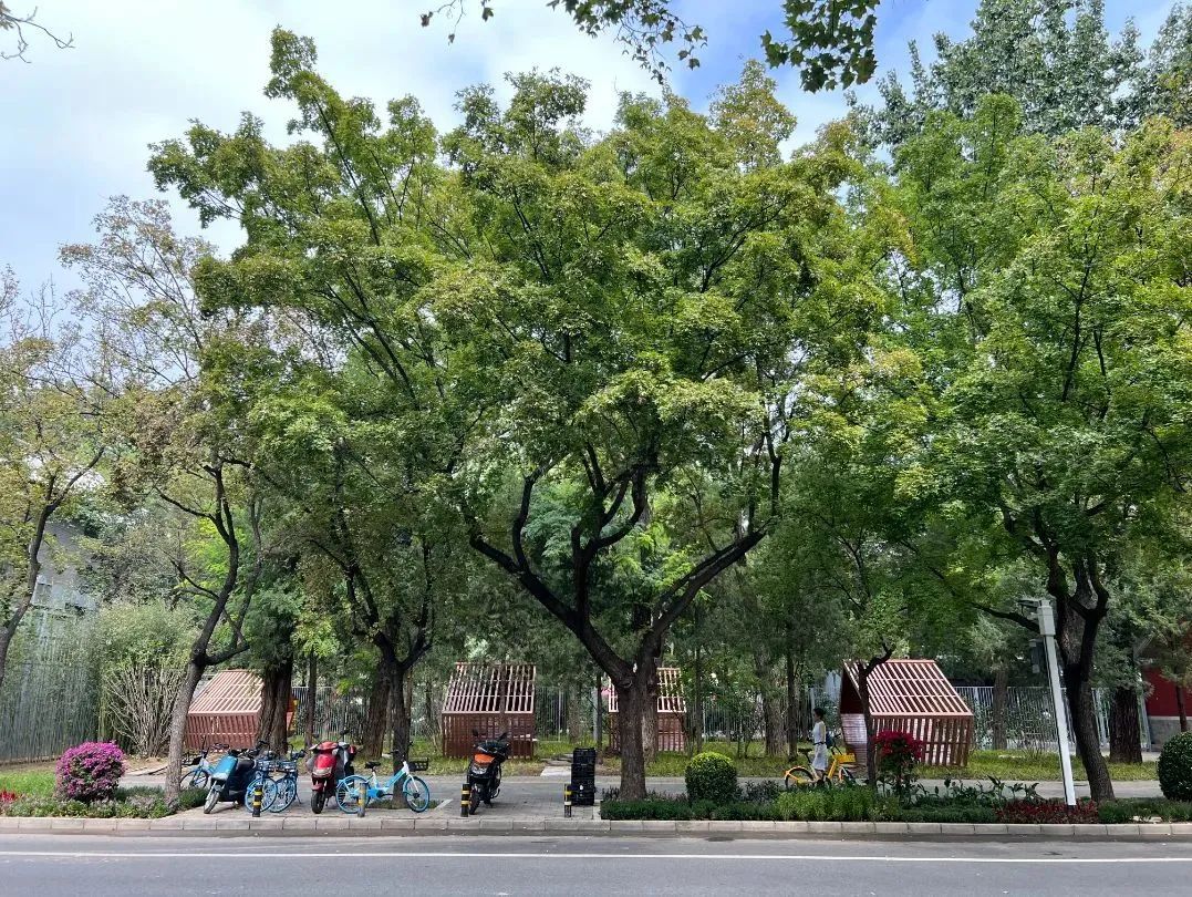 日坛公园围墙“后退”,为城市“让”出新风景 日坛公园围墙“后退”,为城市“让”出新风景