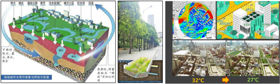 应对气候变化的风景园林研究与实践 应对气候变化的风景园林研究与实践