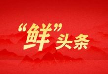 从“不可能”到“可能”,如此助企服务,“泰”给力!-规划问道