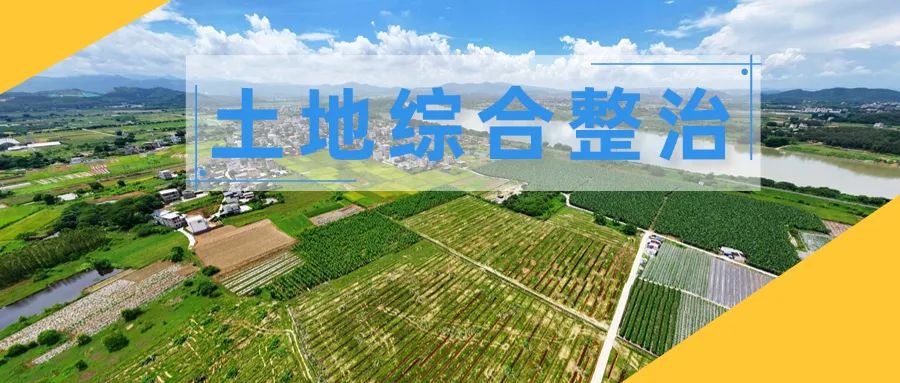 土地综合整治16｜全链条服务保障从化乡村振兴项目用地供给