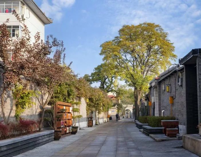 清华同衡7个项目斩获2024年IFLA AAPME国际大奖! 清华同衡7个项目斩获2024年IFLA AAPME国际大奖!