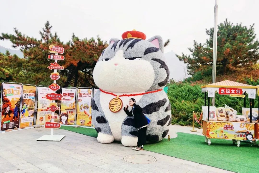 叶黄成“瀑”！京城古寺千年银杏迎最佳观赏期——