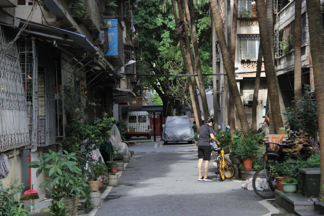 “独立空间”在佛山,什么支撑它们活下去? “独立空间”在佛山,什么支撑它们活下去?