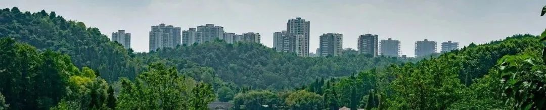 天下事 | 发改委:我国的整体城镇化率还有很大提升空间 天下事 | 发改委:我国的整体城镇化率还有很大提升空间