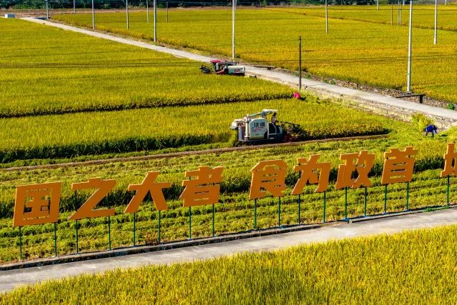 临安区实现永久基本农田集中连片整治3.6万亩！“标兵”潜川有何成功“秘诀”？
