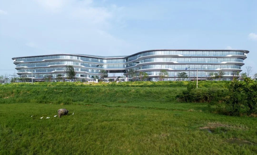 line+ × 科大讯飞:AI总部新地标正式建成启用 line+ × 科大讯飞:AI总部新地标正式建成启用
