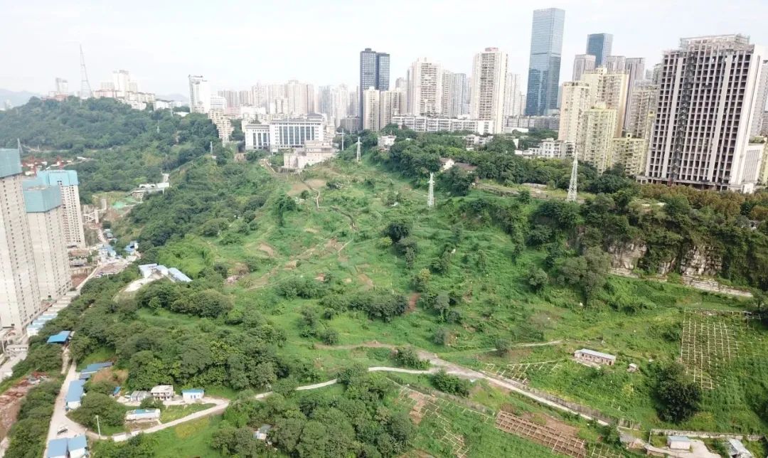 城市儿童友好空间建设可复制经验清单（第一批）（下）
