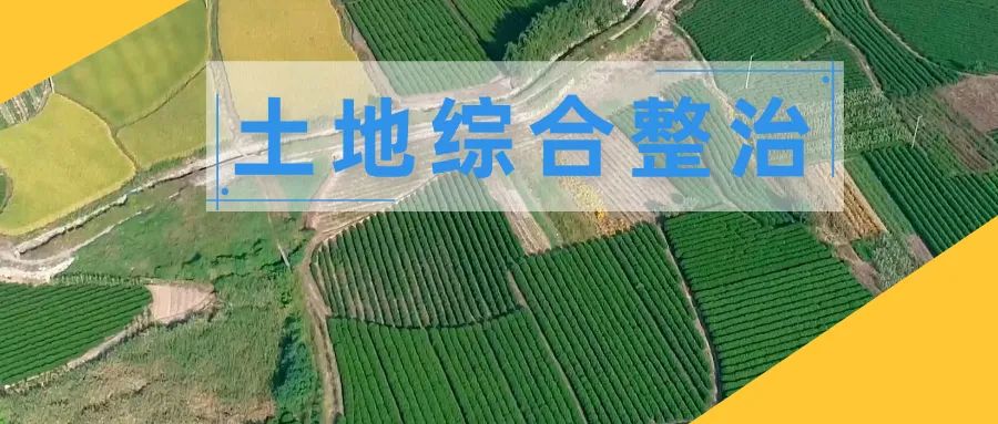 土地综合整治16｜全链条服务保障从化乡村振兴项目用地供给