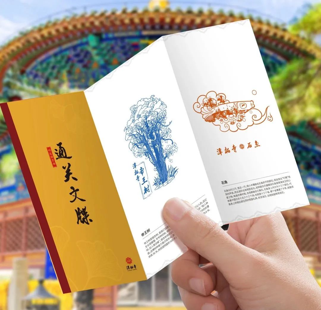 叶黄成“瀑”！京城古寺千年银杏迎最佳观赏期——
