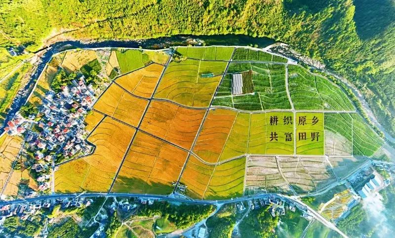全域土地综合整治的杭州实践 全域土地综合整治的杭州实践