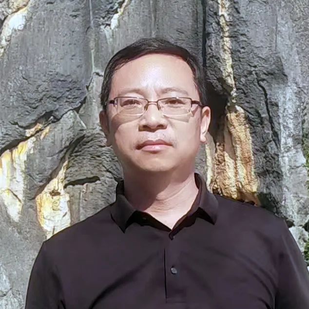 2024• 伍期“郑州市城市交通高质量发展专题”抢先看