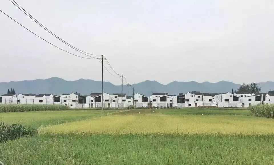 城市化一周精选(11.1-11.7) 城市化一周精选(11.1-11.7)