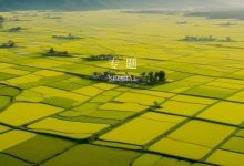 遥感+AI快速识别耕地侵占,助力土地卫片执法-规划问道