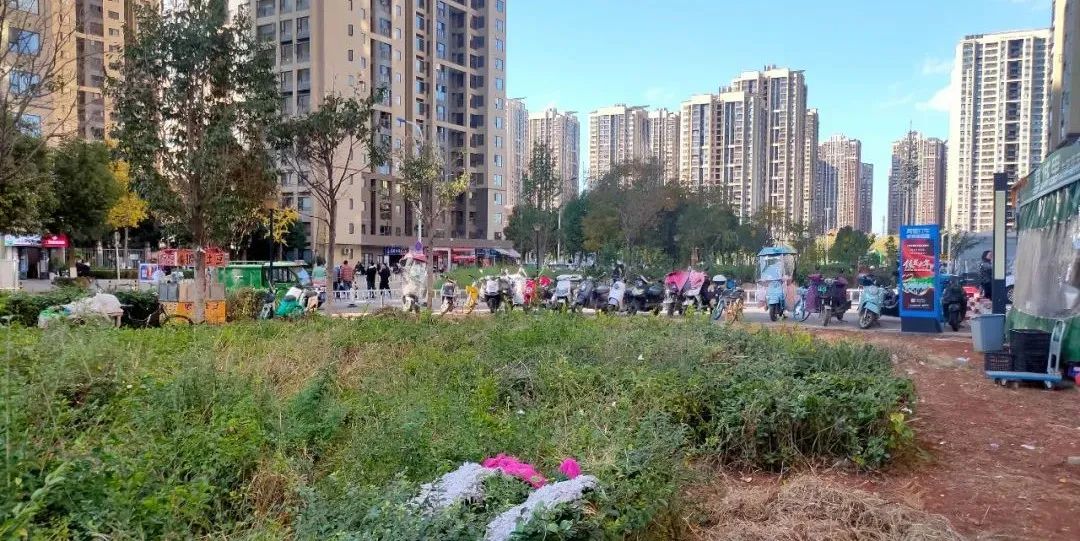 城市儿童友好空间建设可复制经验清单（第一批）（下）