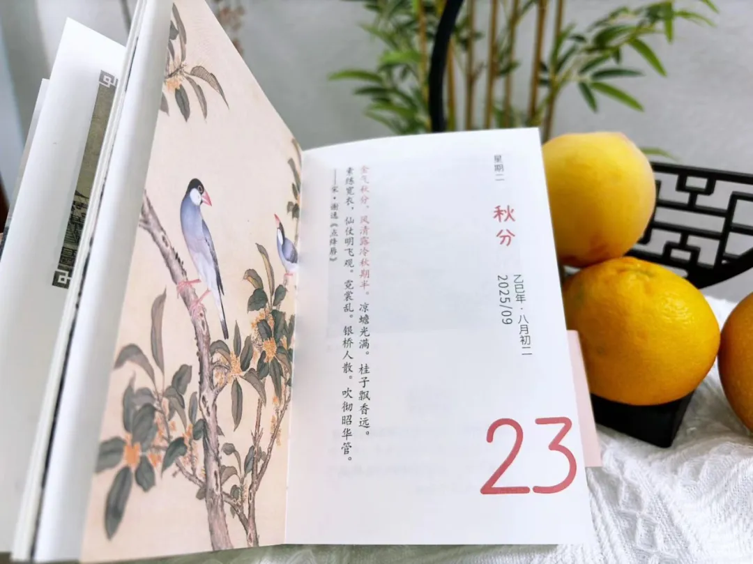 又被惊艳到了了！国风美学拉满，中国人的审美永远值得被信任