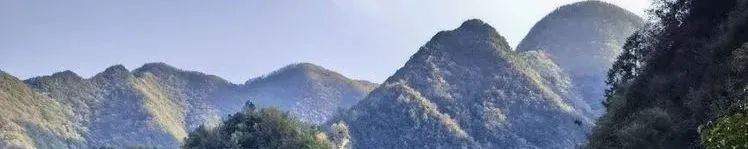 读城 | 何依:科莫湖的色彩 读城 | 何依:科莫湖的色彩