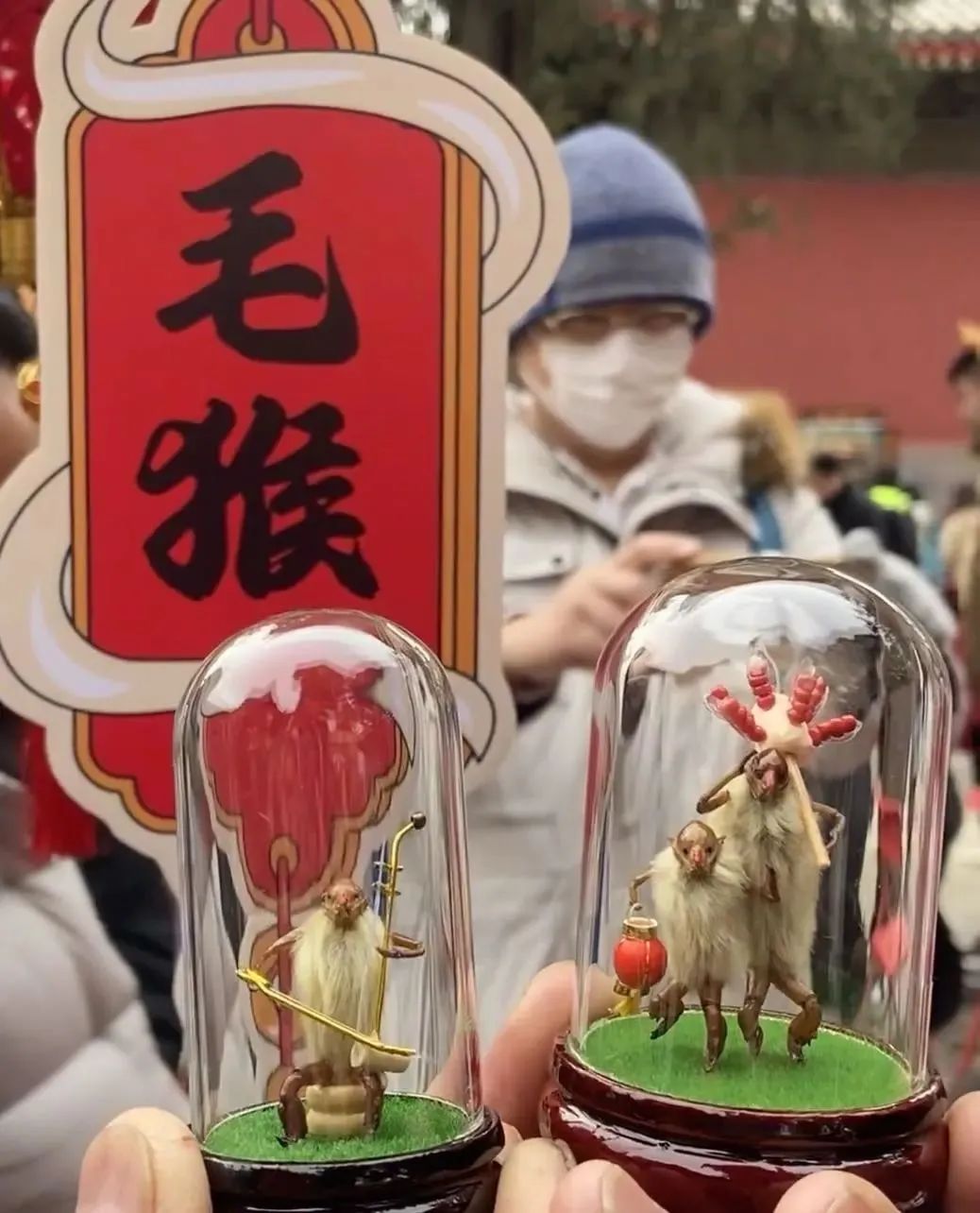 叶黄成“瀑”！京城古寺千年银杏迎最佳观赏期——