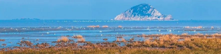“大美中国 最美湿地——福建闽江河口湿地生态保护回顾展”火热开幕，一起来看~