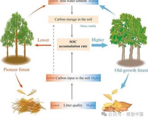 应对气候变化的风景园林研究与实践 应对气候变化的风景园林研究与实践