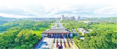 市规划和自然资源局临安分局：深化城市安全韧性提升行动 助力打造“吴越名城·幸福临安”
