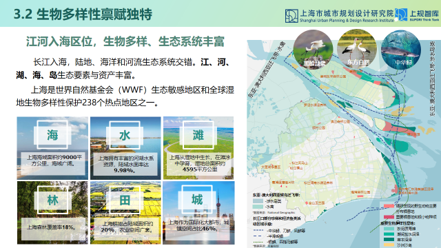 学术报告 | 陈琳：从生态空间规划到生态空间治理—上海推进人与自然和谐共生的规划和实践