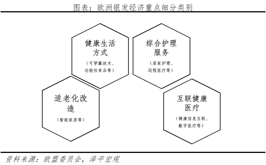 中国银发经济报告2024