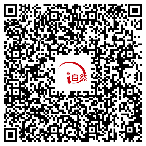 植绿、补绿、增绿，天安门以东→“森林入城”