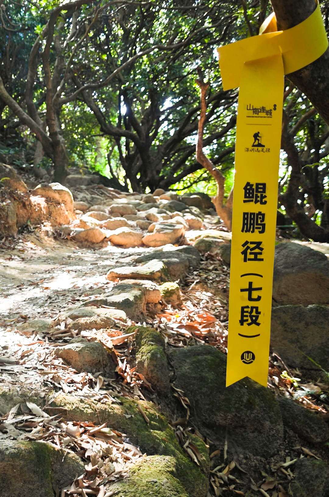 规划师带你打卡鲲鹏径第七、八段 规划师带你打卡鲲鹏径第七、八段