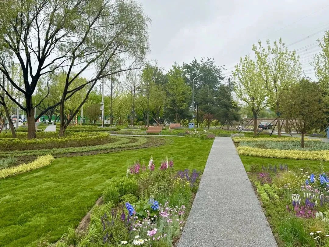 北京公园上新,这次在海淀、朝阳、顺义…… 北京公园上新,这次在海淀、朝阳、顺义……
