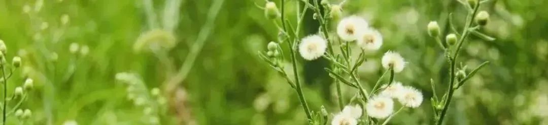 科普 | 今年冬至，将是128年来最早的冬至！