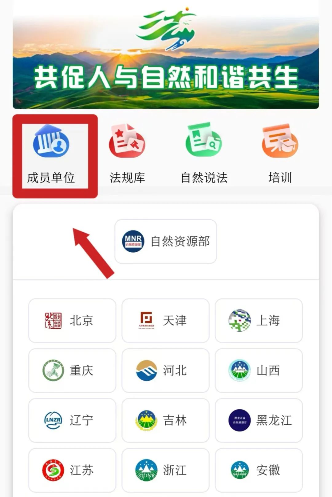 法治自然 矩阵启航！