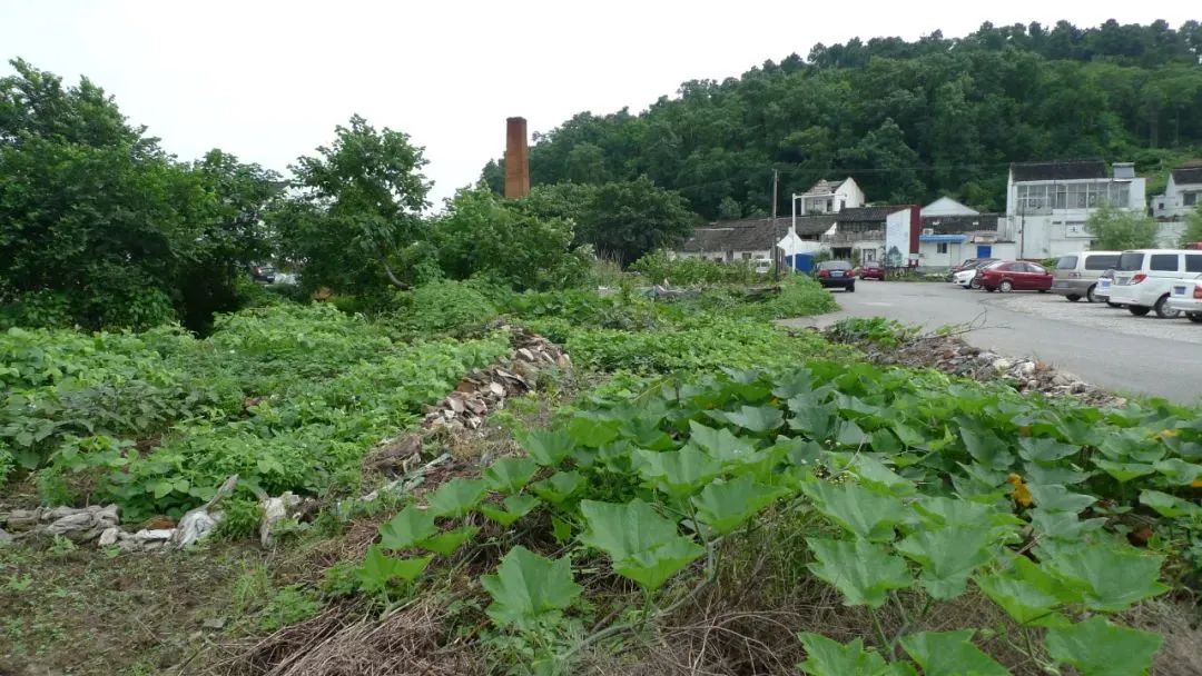 国际动态 | 宜兴丁蜀古南街历史街区保护项目获联合国教科文组织亚太遗产保护奖两项大奖! 国际动态 | 宜兴丁蜀古南街历史街区保护项目获联合国教科文组织亚太遗产保护奖两项大奖!